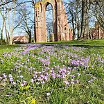 Boddenidyll By Interhome * Greifswald