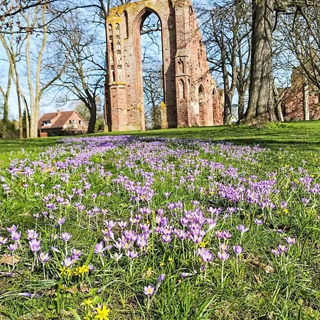 Bodenidyll By Interhome * Greifswald