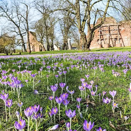 Appartamento Bodenidyll By Interhome *